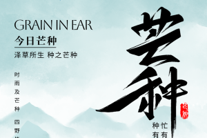 芒种 | 忙有所得 种有所获